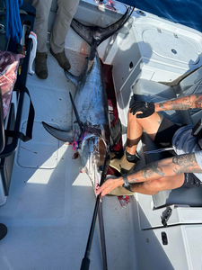 "Preparing the boat for a day's work on the water."