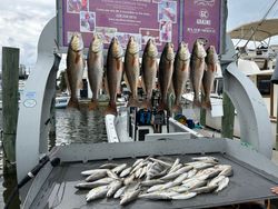 9 redfish caught in Gulfport on fishing cruises and tours