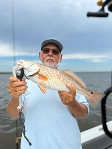 Redfish caught during fishing tour in Gulfport