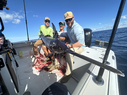 "Reeling in the Catch: A Massive Predatory Fish Hauled Aboard an Offshore Fishing Boat on the Open Ocean."