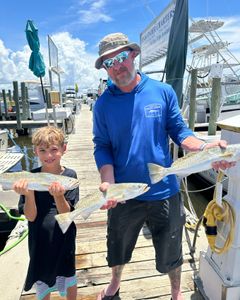 Three spotted weakfish caught on a fishing trip in MS