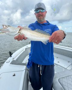 Spotted Weakfish, 23-inch catch, Gulfport, Florida