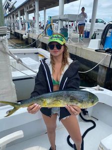 Vibrant Mahi-Mahi Captured In Florida Waters