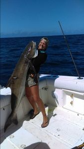 Marathon, FL Gigantic Cobia Captured