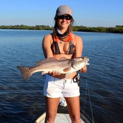 Redfish Beauty In Marathon, FL
