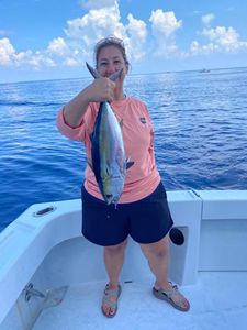 Marathon, FL Tuna Delight
