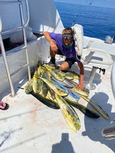 Mahi-mahi Catch Of The Day In Marathon, FL