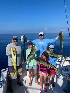 Florida's Mahi-mahi Abundance