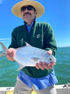 Permit Catch Of The Day