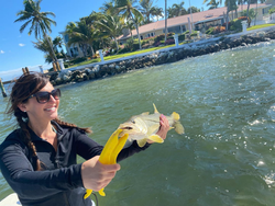 Angler holding a 6-inch fish in Florida