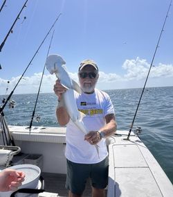 Bonnethead shark caught while fishing in Marathon FL waters