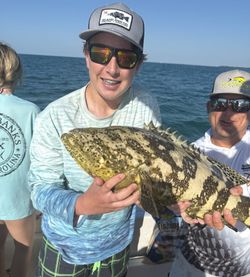 Goliath grouper caught during fishing trip in Marathon FL