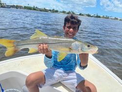Snook, 31-inch fish caught while fishing in FL