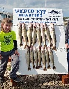 14 walleye and sauger fish caught in OH