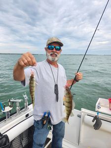 Perch Catch in Lake Erie Fishing Trips