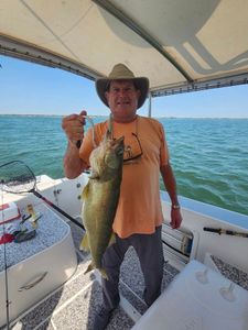 Trophy walleye catches on epic Lake Erie fishing t