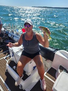 Perfect day for perch fishing on Lake Erie’s water