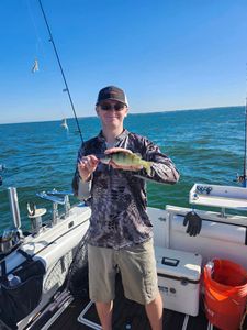 Lake Erie fish Charters Perch Catch! Book Now!