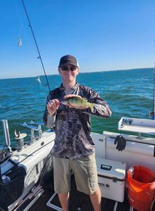 Angler enjoying a great day of fishing in Marblehead
