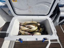Three fishing rods with reels on a beach in Marblehead