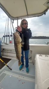 A lone angler enjoying a fishing adventure in Marblehead