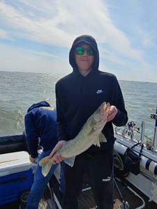 Walleye fish caught by angler in Marblehead