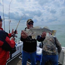 Walleye fish caught in OH