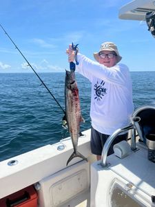 King mackerel caught while fishing off Okaloosa Island FL