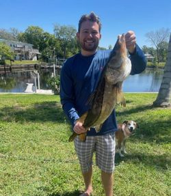 A person fishing in Port Richey