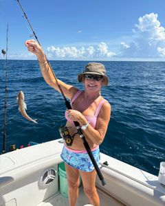 One person fishing in Port Richey