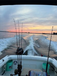 Scenic FL landscape with fishing tours
