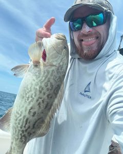 Gag grouper caught while fishing in FL