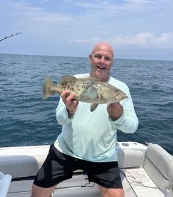 Gag grouper caught while fishing in Florida