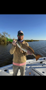 One angler fishing in Lafitte