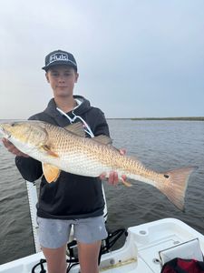 Fish-Species