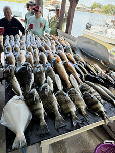 4 black drum fish caught while fishing in LA