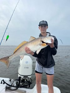 Fish-Species