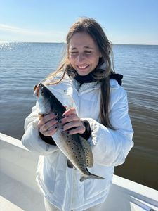 Fish-Species