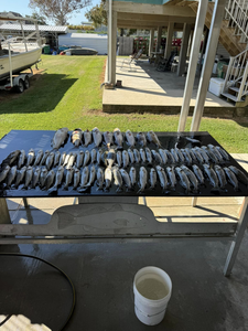 Picturesque fishing scene in Lafitte
