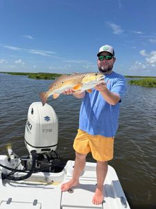 A single redfish caught while fishing in Lafitte