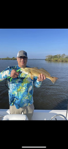 Redfish caught on a fishing trip in LA
