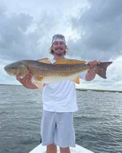 Redfish caught in LA by angler