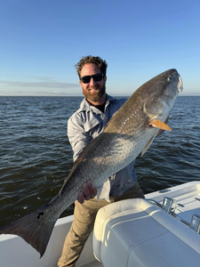 Redfish caught in LA by fisherman