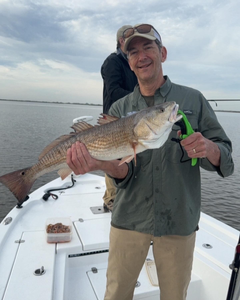 Redfish caught in Lafitte