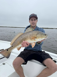 Redfish caught in Lafitte
