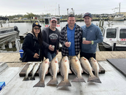 5 redfish caught on a fishing trip in LA