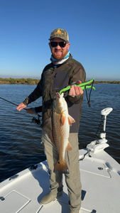 A single redfish, 21 inches, caught by a fisherman in Lafitte