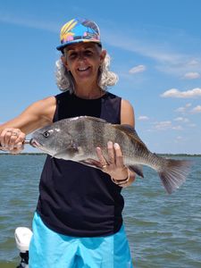 Hook of the day: Sheepshead 