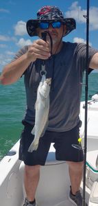 Reeling in the best of Crystal River