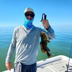 Gag Grouper caught while fishing in FL
